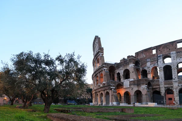 Het Colosseum bij dageraad, Rome, Italië — Stockfoto