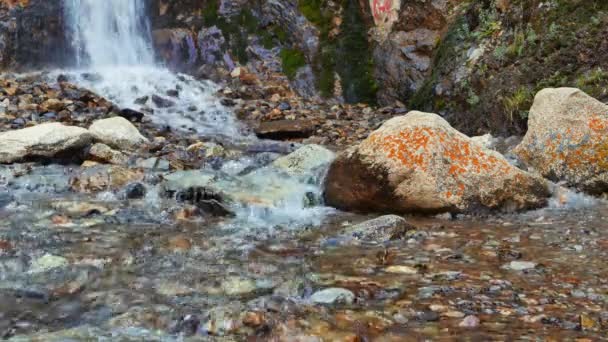 Чиста вода, що тече над камінцями — стокове відео