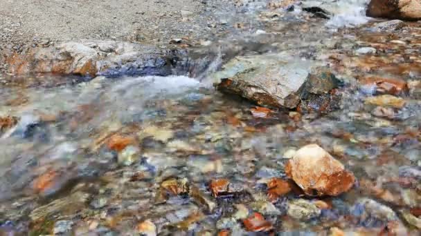 Agua clara corriendo sobre las piedras — Vídeos de Stock