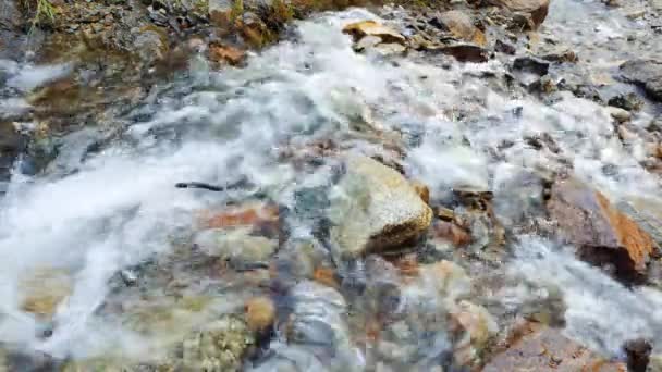 Helder water loopt over de stenen — Stockvideo