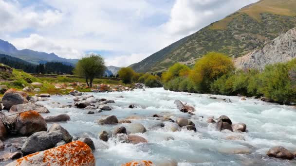 Rio Montanha Chon-Ak-Suu — Vídeo de Stock