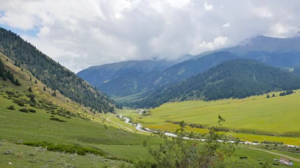 Valle de Chon Ak-Suu — Vídeo de stock