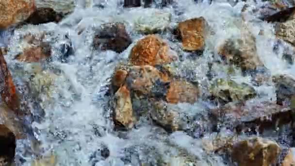 Klares Wasser, das über die Steine fließt — Stockvideo