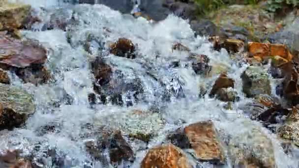 Helder water loopt over de stenen — Stockvideo