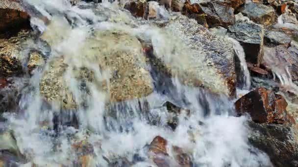 Helder water loopt over de stenen — Stockvideo