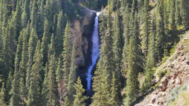 Şelale gözyaşları leopar 