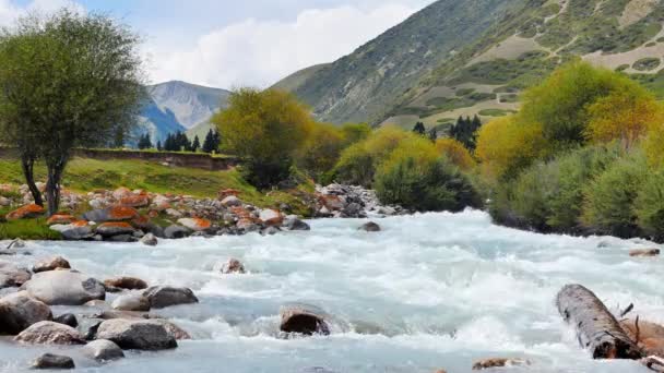 Fiume di montagna di Chon-Ak-Suu — Video Stock