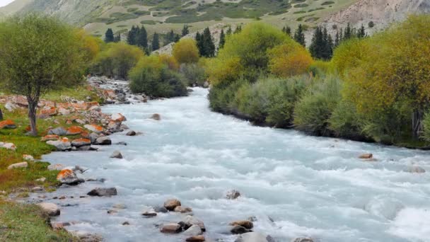 Ορεινό ποτάμι από Chon-Ak-Suu — Αρχείο Βίντεο