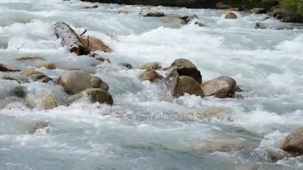Dağ nehir Chon-Ak-Suu — Stok video