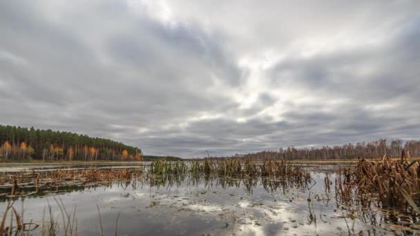 Nuvens baixas sobre a lagoa pantanosa — Vídeo de Stock