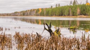 Bataklık gölet üzerinde alçak bulutlar