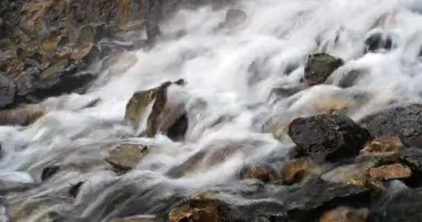 Agua clara corriendo sobre las piedras — Vídeo de stock