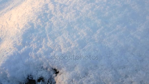 Χιόνι closeup με το φως του ηλιοβασιλέματος — Αρχείο Βίντεο