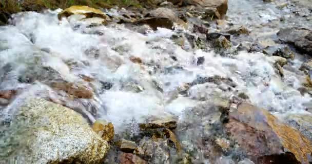 Чистая вода течет над камнями — стоковое видео