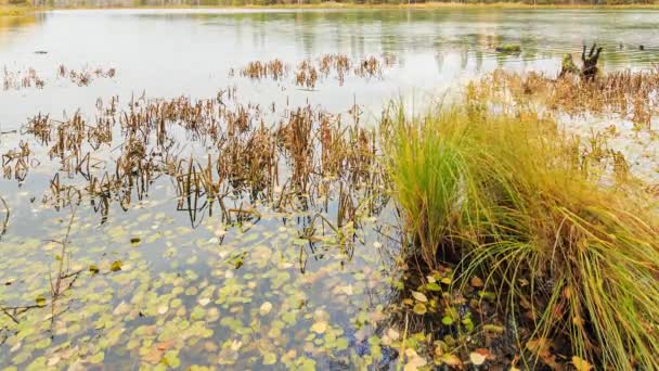 Low clouds reflected in the water — Stock Video