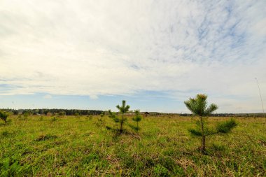 Gökyüzüne yağmur sonra temizlenir