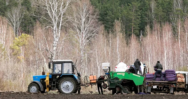 赤灯台の村, ロシア連邦 - 2017 年 5 月 10 日: トラクターの人がジャガイモを植えることに従事しています。森の背景. — ストック写真