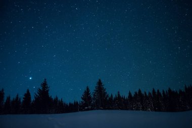 Yıldızlı kış gökyüzü arka plan üzerinde Noel ağaçları.