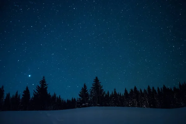 Árboles de Navidad en el fondo del cielo estrellado del invierno . — Foto de Stock