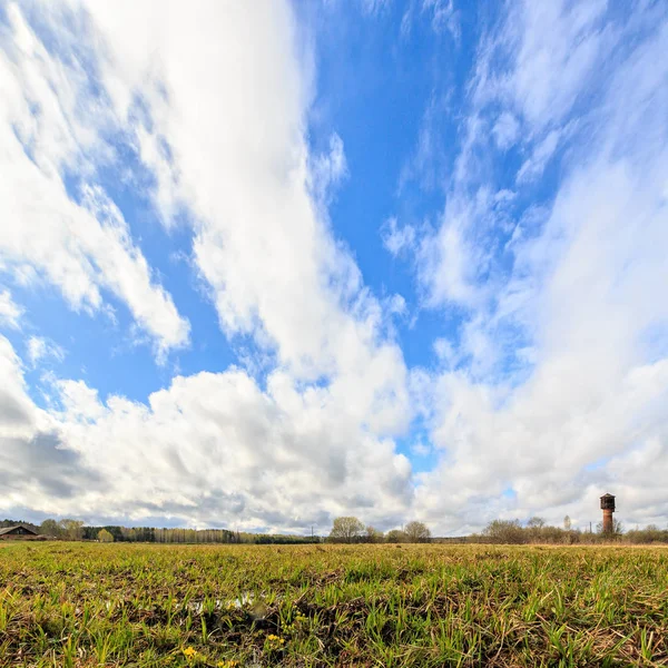 Молодая трава на фоне облаков весной. HDR — стоковое фото