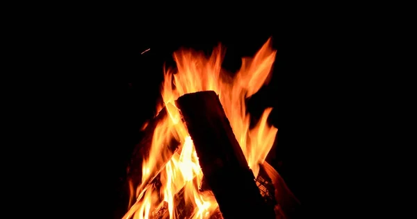 Bonfire detail. Blízko — Stock fotografie