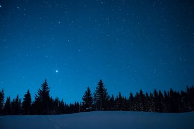 Yıldızlı kış gökyüzü arka plan üzerinde Noel ağaçları. Prio
