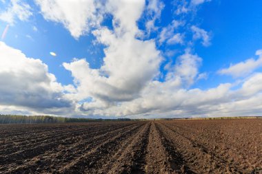 Clouds over arable land close-up. Time Laps clipart