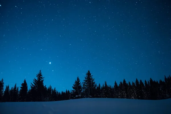 Árvores de Natal no fundo do céu estrelado de inverno. Prio. — Fotografia de Stock