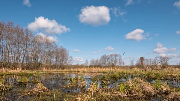 Terreno pantanoso contra o fundo das nuvens, Primavera — Fotografia de Stock