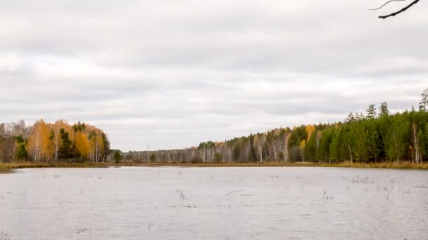 Herfst Vijver Rusland Zoom Time Lapse Video — Stockvideo