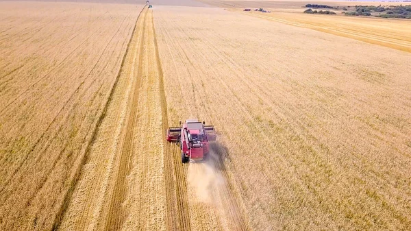 Hasat hasat buğday alanında birleştirmek 