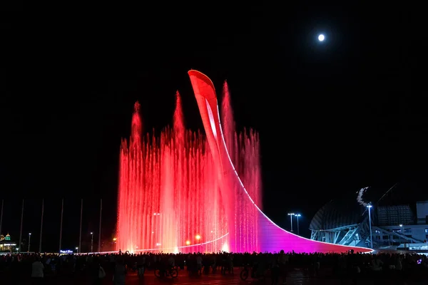 Russia, Sochi - September 03, 2017: Sochi park. Singing fountain — Stock Photo, Image