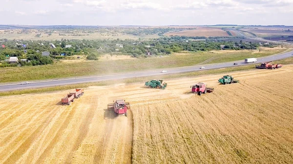 Cosechadora cosechadora cosechar trigo en el campo — Foto de Stock