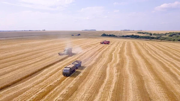 Rusia, región de Penza, distrito de Moksha - 26 de agosto de 2017: Combine la cosecha de trigo cosechador en el campo —  Fotos de Stock