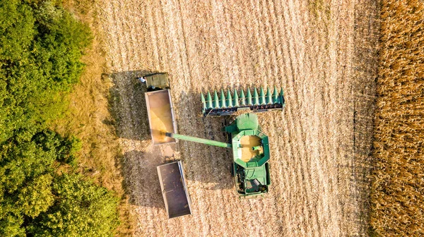 Loading corn from the combine into the truck body — Stock Photo, Image