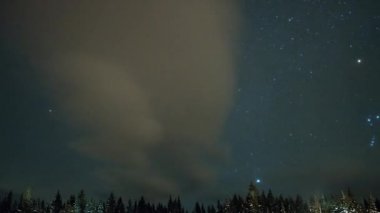 yıldızlı gökyüzü ve evergreen karlı kış, video, ultrahd (4k ormanda karşı küçük ev)