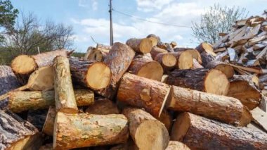 Yuvarlak çam yığını günlüğe kaydeder. Zaman atlamalı. Video. UltraHD (4k)