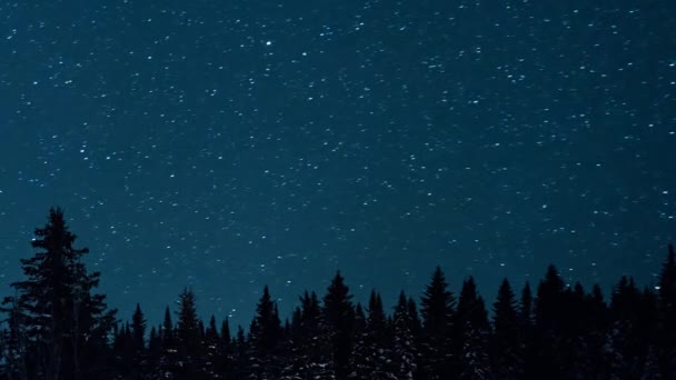 Vista Nocturna Del Hermoso Cielo Estrellado Los Abetos Luna Levantan — Vídeos de Stock