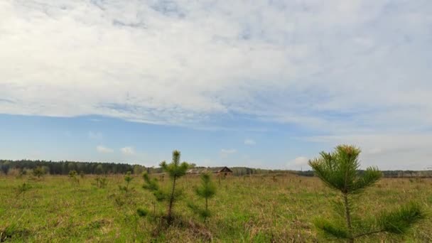 Himmel Mit Wolken Und Grünem Rasen Zeitraffer Video Ultrahd — Stockvideo