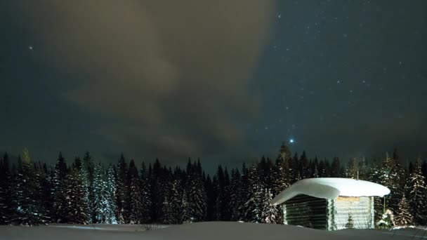 Yıldızlı Gökyüzü Evergreen Karlı Kış Video Ultrahd Ormanda Karşı Küçük — Stok video