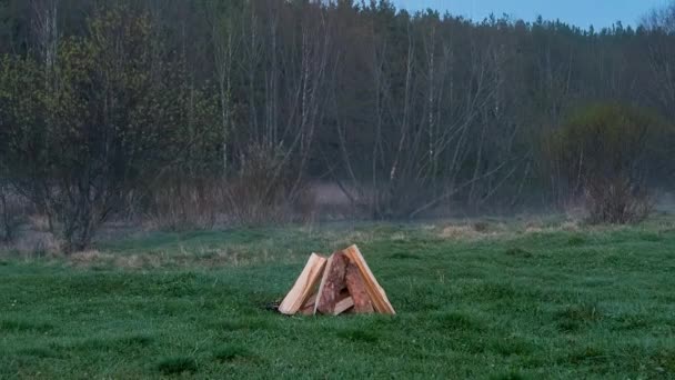 在森林的背景下 篝火在田野中燃起 时间流逝 — 图库视频影像