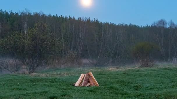 Falò Divampa Nel Campo Sullo Sfondo Della Foresta Time Lapse — Video Stock