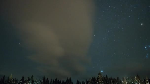 Pequeña Casa Contra Cielo Estrellado Bosque Nevado Siempreverde Invierno Video — Vídeo de stock