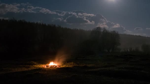 Багаття Лісі Повний Місяць Росія Проміжок Часу Відео — стокове відео