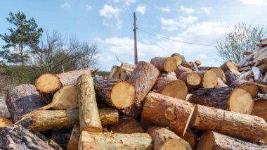 Yuvarlak çam yığını günlüğe kaydeder. Zaman atlamalı. Video. UltraHD (4k)