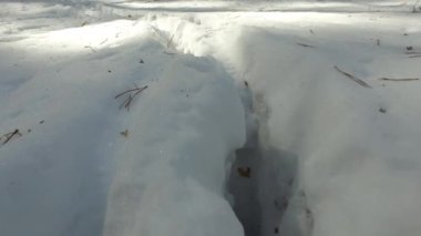 Hayvanların ayak izlerini kış karlı ormanı. Video.