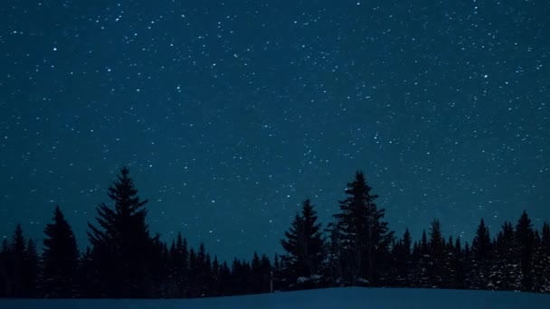 Pemandangan Malam Yang Indah Langit Berbintang Pohon Cemara Dan Bulan — Stok Video