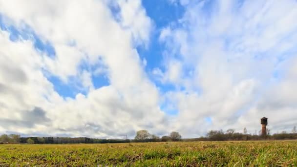 Jong Gras Een Achtergrond Van Wolken Het Voorjaar Schuif Hdr — Stockvideo