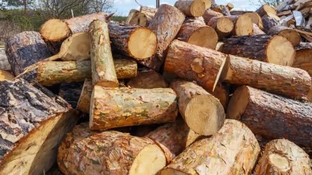 Hoop Van Ronde Pine Logs Time Lapse Video Ultrahd — Stockvideo