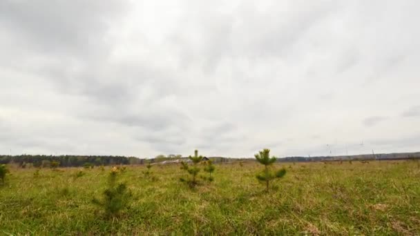 ciel avec nuages et pelouse verte, vidéo time lapse. UltraHD (4K )
